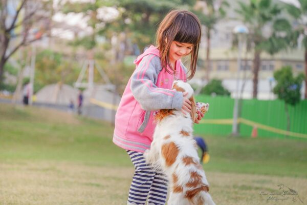 mediation-animale-montessori