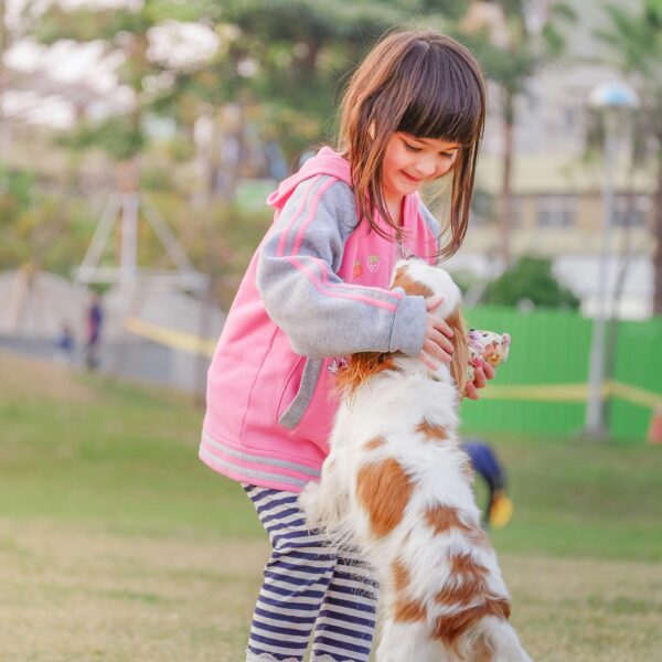 mediation-animale-montessori